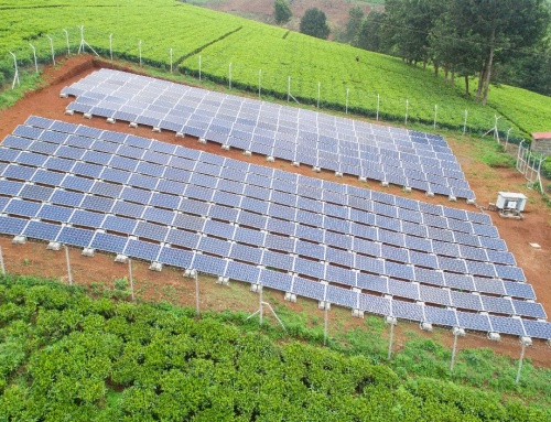 REDAVIA deploys first solar farm in Kenya at Menengai Farmers Ltd