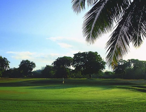 Golf Club Goes Green with REDAVIA Solar